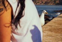 Seagull Peeking Out From Behind A Woman On The Pacific Coast Of Chile