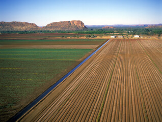 Wall Mural - Crops under irrigation at Kununurra on the Ord river Western Australia .