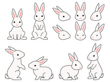 白いウサギのイラストセット
