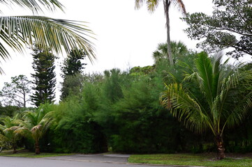 Sticker - Park in Naples am Golf von Mexico, Florida