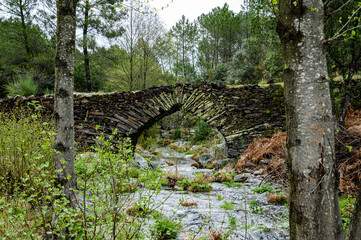 Poster - the bridge of the males, Las Hurdes, Extremadura Spain, old bridge that crosses the river. Old stone bridge, almost in ruins, a bridge without paths, irregular stones can be seen as voussoirs of the a