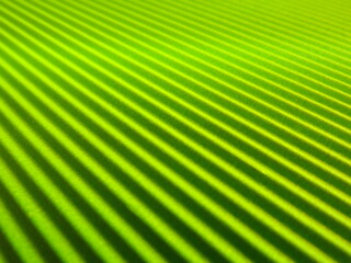 Wall Mural - green background with longitudinal stripes as an abstraction