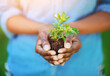 © Arnéll Koegelenberg/peopleimages.com - Conserving the environment. Cropped shot of a person holding a plant growing in soil.