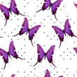 butterfly polka dot pattern
seamless