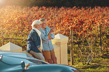 Wall Mural - Its a perfect day to spend outside. Shot of a happy senior couple admiring the view while out on a roadtrip.