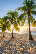 Beautiful Sunset At The Palm Beach