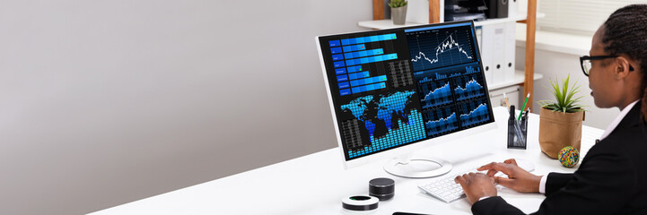 Poster - Businesswoman Analyzing Graph On Computer