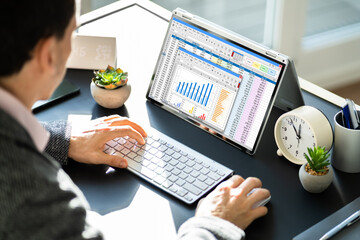 Poster - Electronic Spreadsheet Analyst Or Auditor Using Software