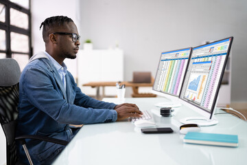 Poster - Financial Analyst Using Spreadsheet Software