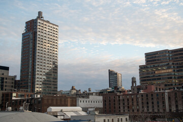 Wall Mural - Walking the High Line