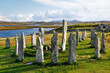 © David Matthew Lyons - Tursachan prehistoric stones at Callanish, isle of Lewis, Scotland. aka Callanish I. Centre monolith, circle stones and chambered tomb looking S. East