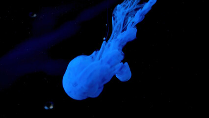 Poster - Beautiful ink underwater on black background. Stock footage. Bright cloud of ink moves in water. Splash and spread of ink in clear water