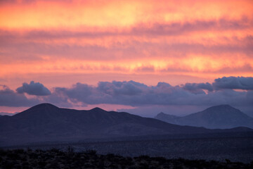 Wall Mural - Leaving the Antelope Valley