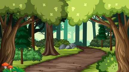 Wall Mural - nature scene with many trees and road
