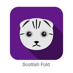 Wall Mural - Scottish Fold, Cat breed face cartoon flat icon design