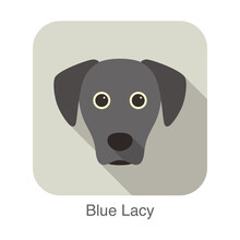 Blue Lacy Dog Character, Dog Breed Cartoon Image Series