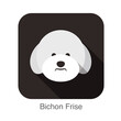 Bichon Frise dog face flat icon
