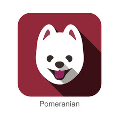 Wall Mural - Pomeranian dog face flat icon, dog series