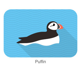 Wall Mural - Iceland bird, flat cute puffin baby vector illustration