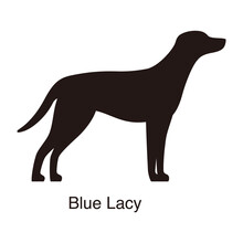 Blue Lacy Dog Silhouette, Side View, Vector Illustration