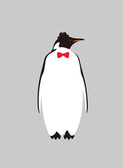 Wall Mural - Portrait of penguin, wearing bow tie and hat, like a gentleman, cool style