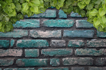 Poster - Old Texture brick wall, background, detailed pattern covered in ivy