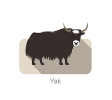 Yak Standing On The Ground, And Some Snow On Its Body
