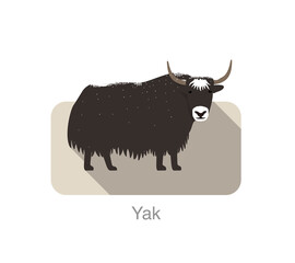 Wall Mural - Yak standing on the ground, and some snow on its body