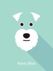 Wall Mural - Kerry Blue dog face flat icon design, vector illustration