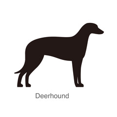 Wall Mural - Deerhound dog on the hole, watching, vector illustration