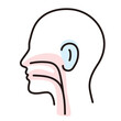 Human organ throat ear nose flat icon, vector illustration