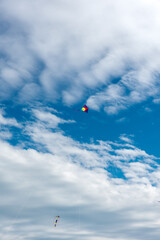 Wall Mural - colorful kites flying over the sky