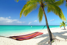 Beach With Palm Trees And Colorful Hammock