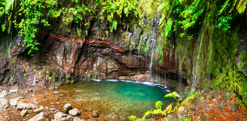 Wall Mural - Nature of Madeira island. Popular touristic walk (hike) in levada 25 fontes, with beautiful waterfalls