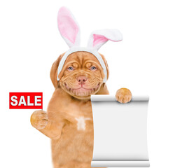 Poster - Smiling puppy wearing easter rabbits ears holds empty list and sales symbol. Isolated on white background