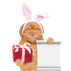 Poster - Smiling puppy wearing easter rabbits ears holds gift box and shows empty list. Isolated on white background