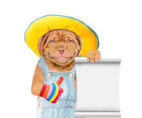 Poster - Puppy wearing  hat and overalls shows empty list and thumbs up gesture. Isolated on white background