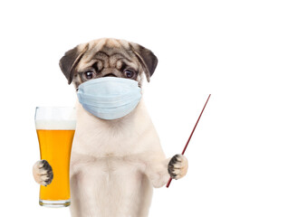 Poster - Pug puppy wearing medical protective face mask holds glass of beer and points away on empty space. isolated on white background