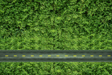 ESG, Zero Carbon Emission And Environmental Care Concept. Top View Of Road In Green Season. Environmental And Business Growth Together. Sustainable Resources