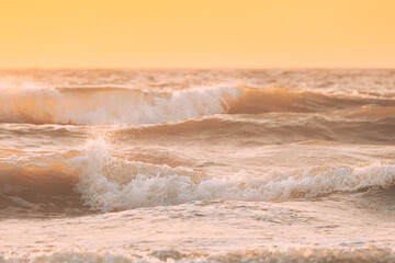 Poster - Sea ocean water surface with foaming small waves at sunset. Evening sunlight sunshine above sea. Natural sunset sky warm colors. Amazing landscape scenery. Crashing waves. Copy space. Nature