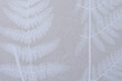 © eugen - paper with evocative pattern (fern leaf)