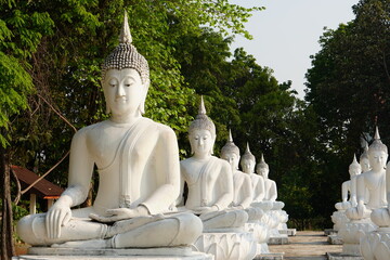 white Buddha statues are arranged in beautiful rows.        