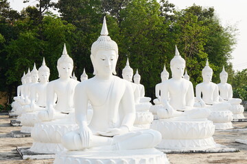 white Buddha statues are arranged in beautiful rows.        