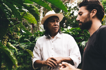 Wall Mural - Multiracial male colleagues discussing agriculture business at coffee plantation while visiting countryside in Indonesia togetherness, diverse men farmers talking about caffeine cultivation