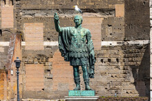 Statue Of The Emperor Constantine At The Roman Forum With A Seagull On His Head