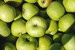 green apples background. new harvest. food texture.