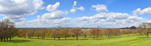 Panorama Of London Seen From Sydenham Hill In Dulwich. L-R: Croydon, Elephant And Castle, And City Of London. Trees, Grass, Blue Sky And Clouds.