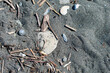 Beach pollution. Dirt and debris on the sand of the coast. Top view. Beach cleaning.