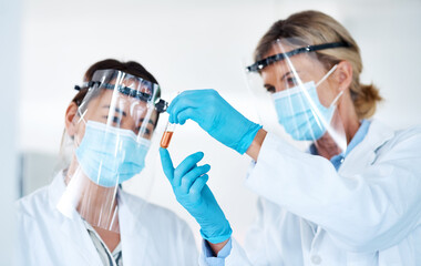 Poster - Understanding the workings of the world through science. Shot of two scientists analysing samples together in a lab.