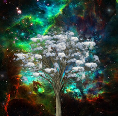 Poster - the clouds tree